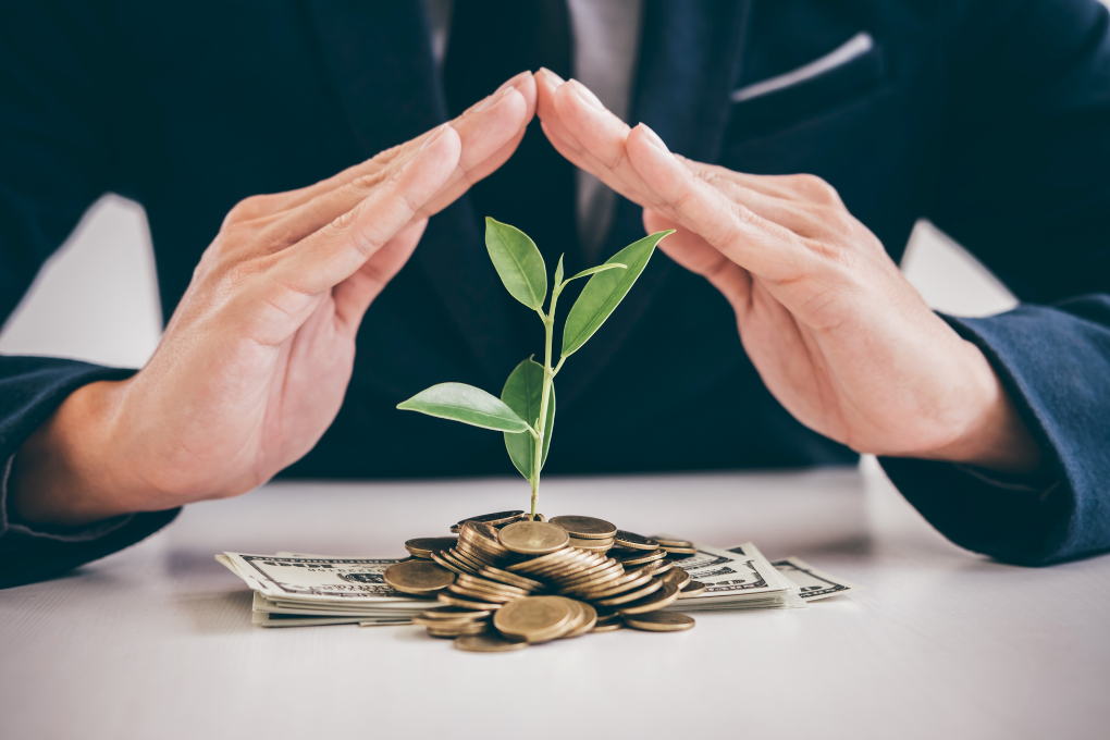 Wealth building - money growing in plant and hands shielding the plant.
