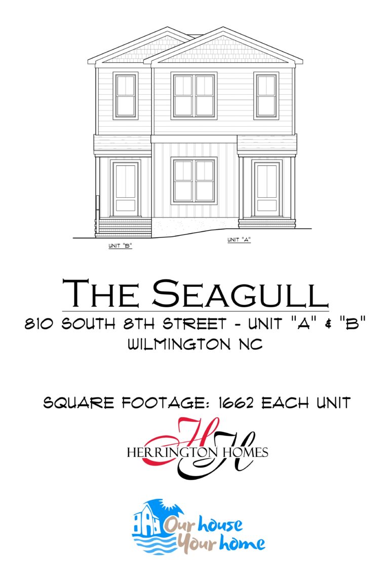 The Seagull