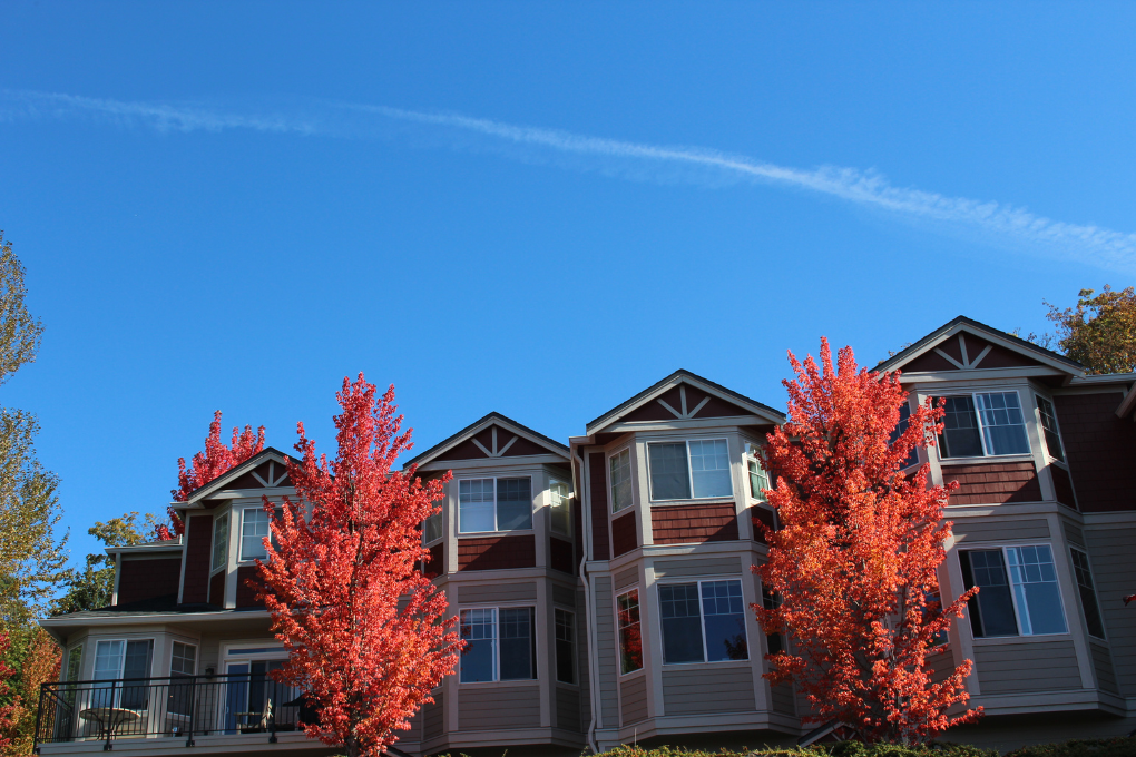 Townhouses with autumn foliage.